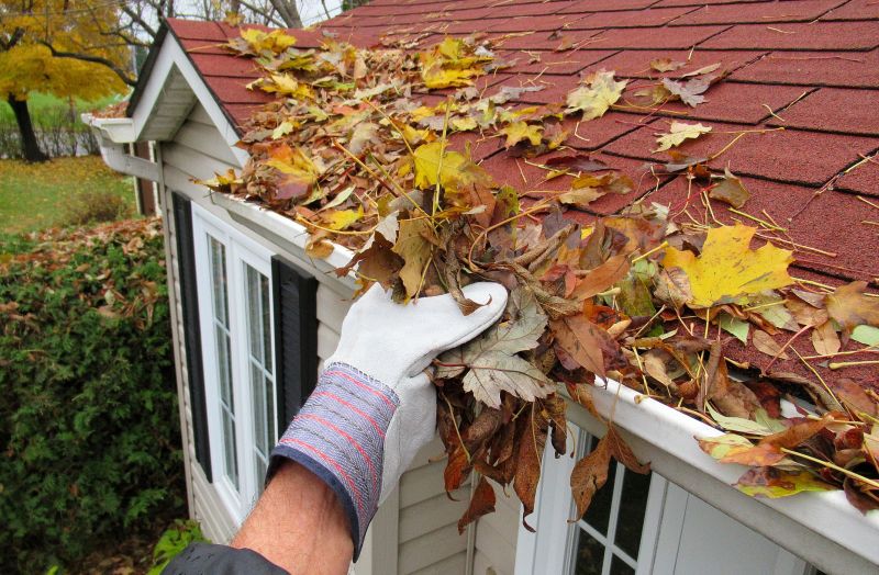 Benefits of Professional Leaf Removal